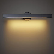 24" Bathroom Vanity Lights,Black Picture Light for Wall