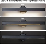 24" Bathroom Vanity Lights,Black Picture Light for Wall