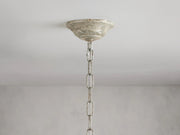 JC Art Design Crystal Florals Chandelier for Living Room/Bedroom/Dining Room/Kitchen island