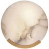 JC Iris Alabaster Round Plate Sconce,Modern Wall Lamp