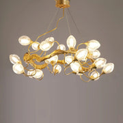 JC Lotus Brass Chandeliers