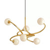 JC Pearl  Pendant Chandelier  -6